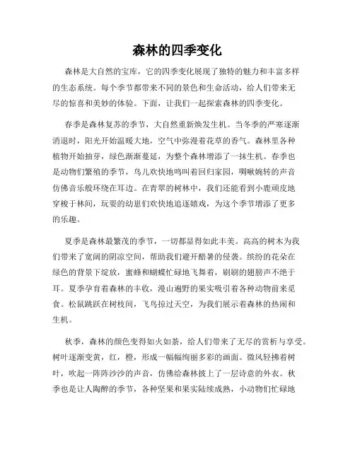 森林的四季变化