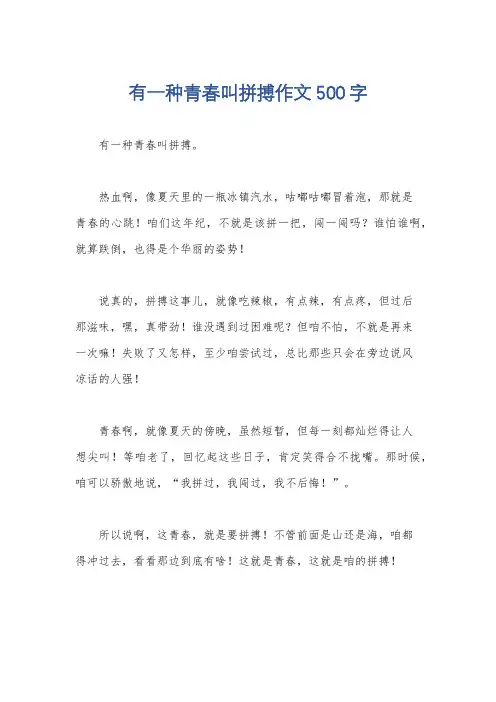 有一种青春叫拼搏作文500字