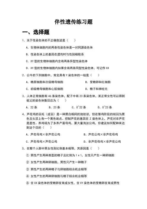 伴性遗传练习题
