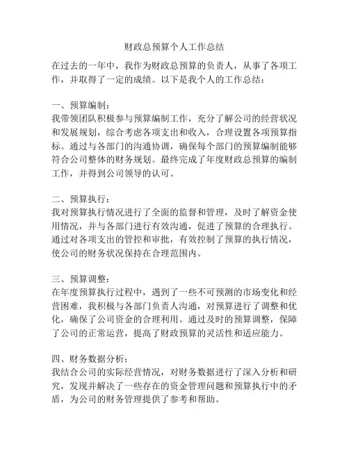 财政总预算个人工作总结