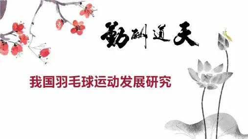 我国羽毛球运动发展研究