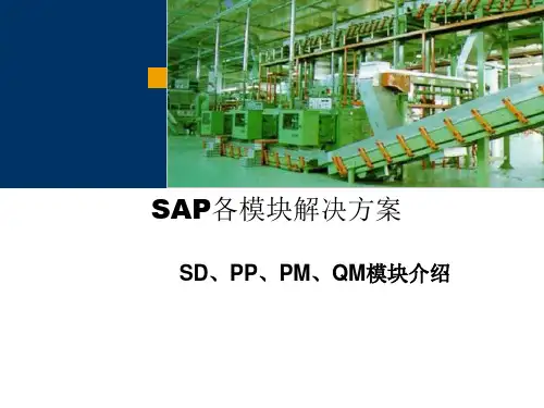 SAP-ERP模块SD、PP、PM、QM解决方案