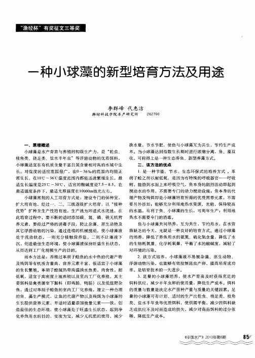 一种小球藻的新型培育方法及用途