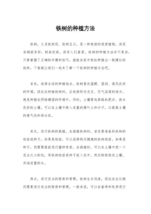 铁树的种植方法