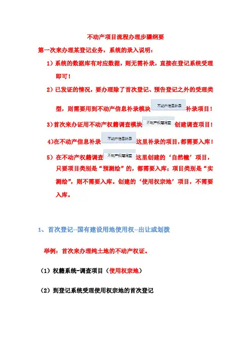 不动产项目流程办理步骤纲要