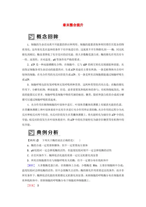 新教材高中生物 第5章 细胞的能量供应和利用章末整合提升教学案 新人教版必修1.docx