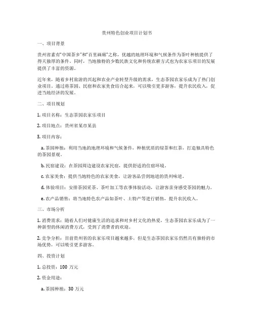 贵州特色创业项目计划书