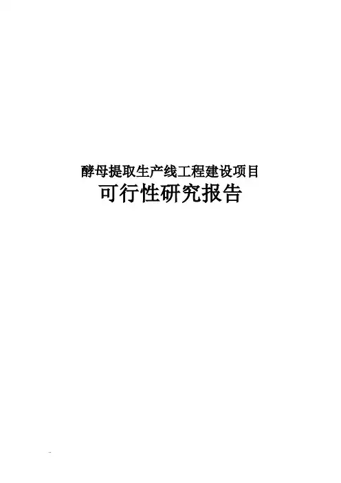 酵母提取生产线工程可行性研究报告