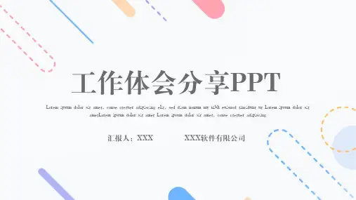 工作经验分享PPT模板