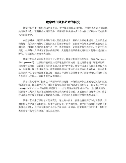 数字时代摄影艺术的新变