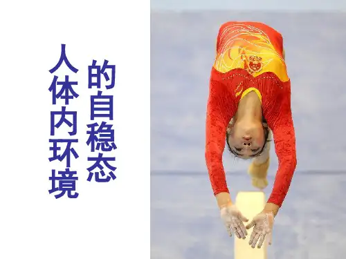 人体内环境的自稳态(4)