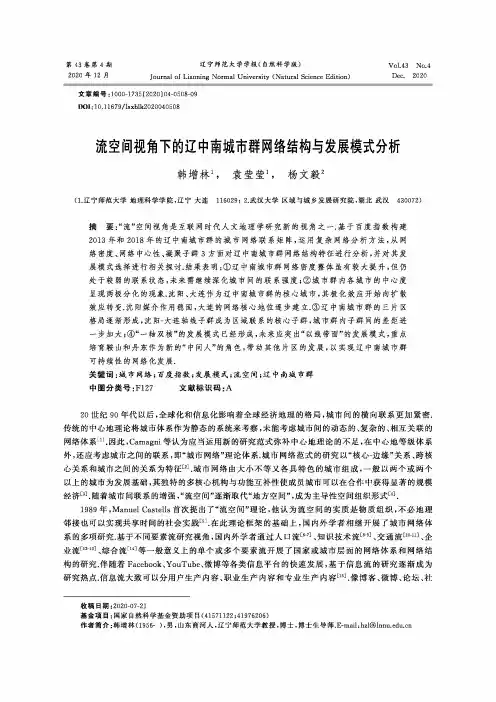 流空间视角下的辽中南城市群网络结构与发展模式分析