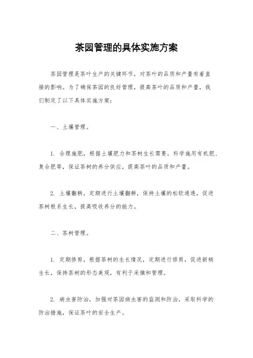 茶园管理的具体实施方案