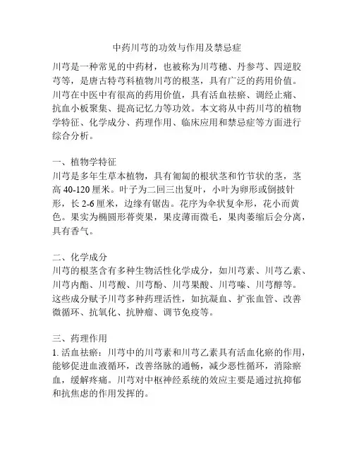中药川芎的功效与作用及禁忌症