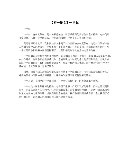 【初一作文】一串红