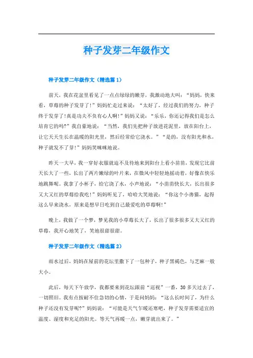 种子发芽二年级作文