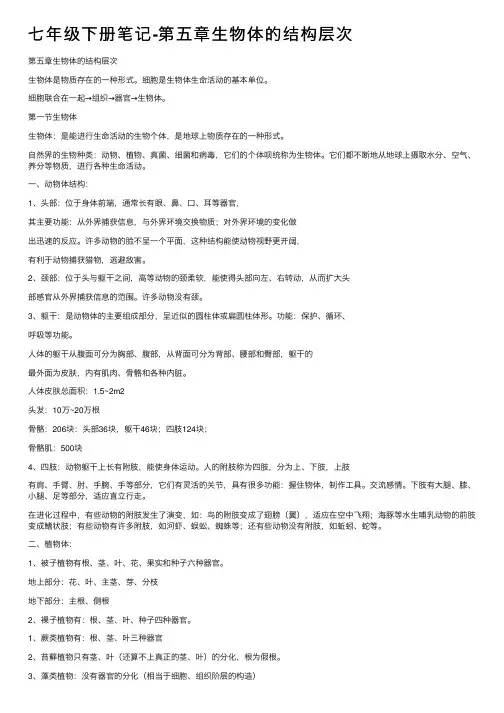 七年级下册笔记-第五章生物体的结构层次
