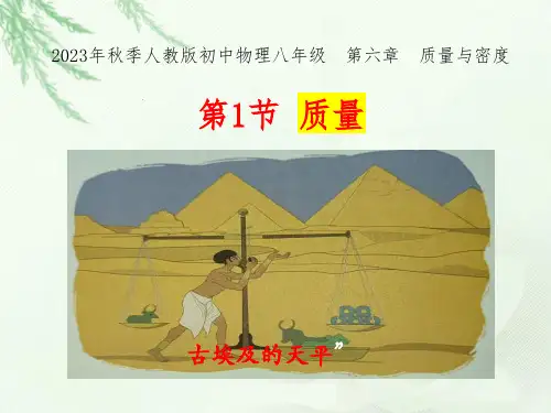 质量课件人教版物理八年级上册