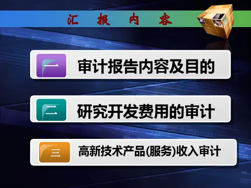 关于专项审计报告的说明与解释powerpoint37页