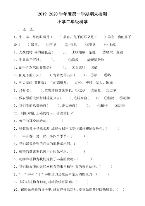 二年级上学期综合实践活动山科版