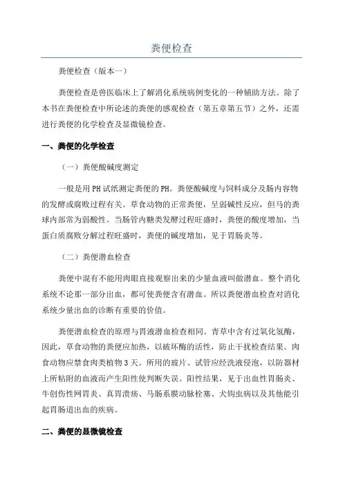 粪便检查_精品文档