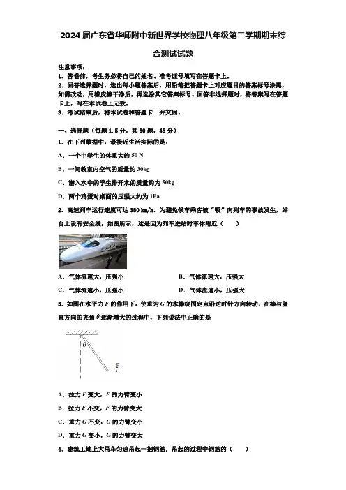 2024届广东省华师附中新世界学校物理八年级第二学期期末综合测试试题含解析