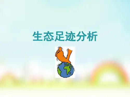 05生态足迹分析