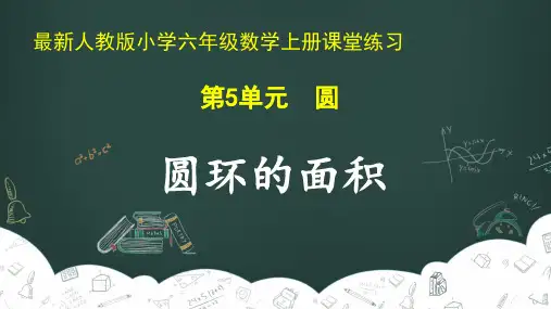 最新人教版小学六年级数学上册 第5单元 圆《圆环的面积》课堂练习