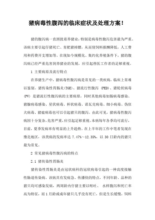 猪病毒性腹泻临床症状及处理方案