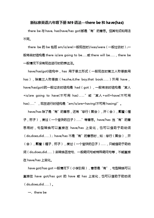 新标准英语六年级下册M9语法—there be和have(has)