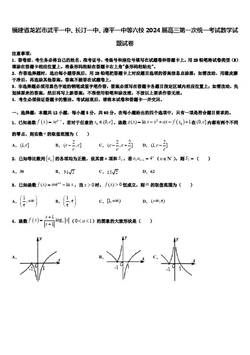 福建省龙岩市武平一中、长汀一中、漳平一中等六校2024届高三第一次统一考试数学试题试卷