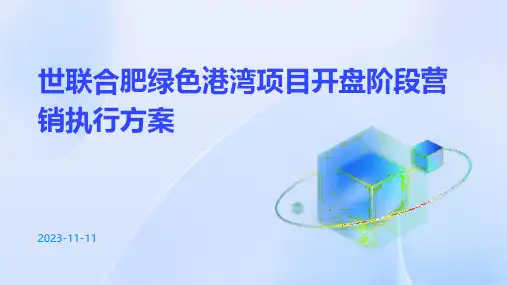 世联合肥绿色港湾项目开盘阶段营销执行方案
