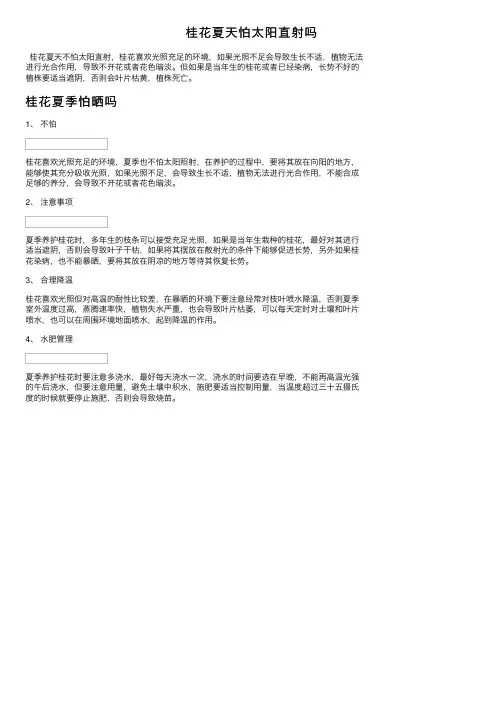 桂花夏天怕太阳直射吗
