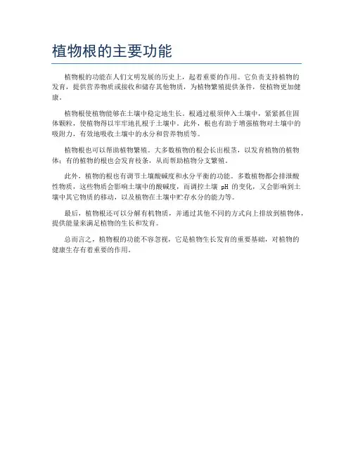 植物根的主要功能