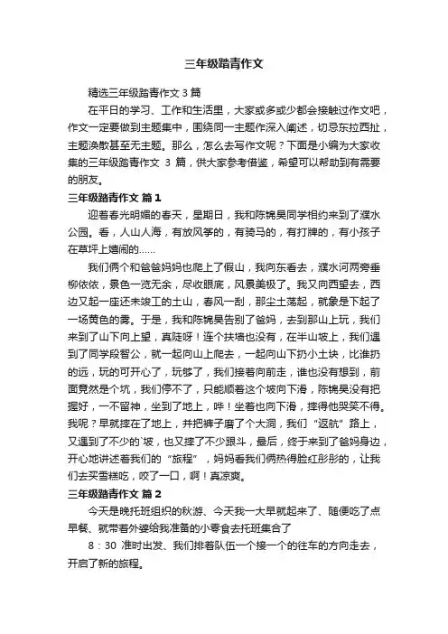 精选三年级踏青作文3篇