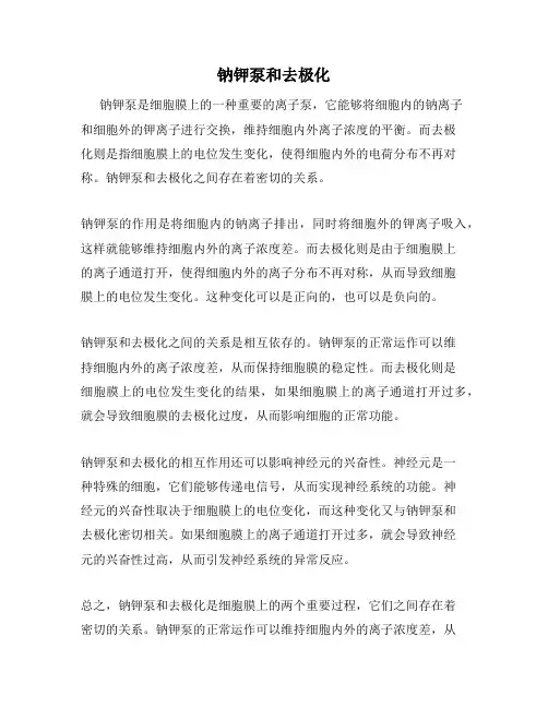 钠钾泵和去极化