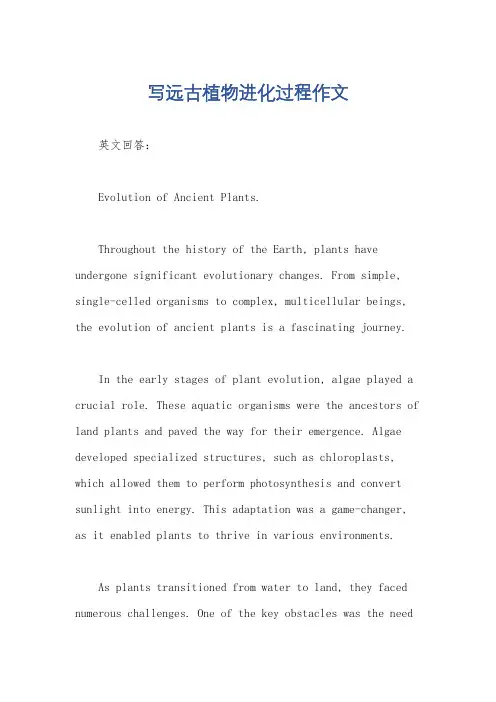 写远古植物进化过程作文