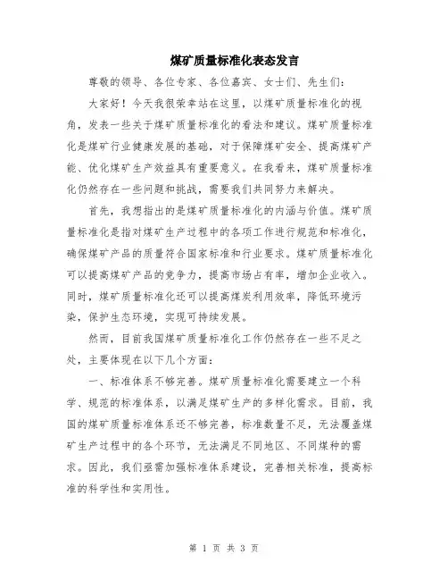 煤矿质量标准化表态发言