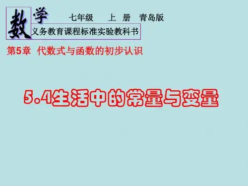 5.4生活中的常量与变量(徐东良)