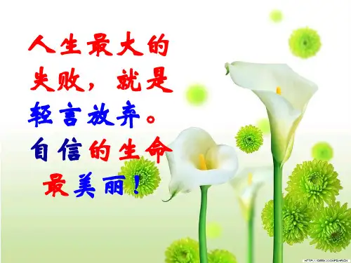 等式的性质课件 (公开课)