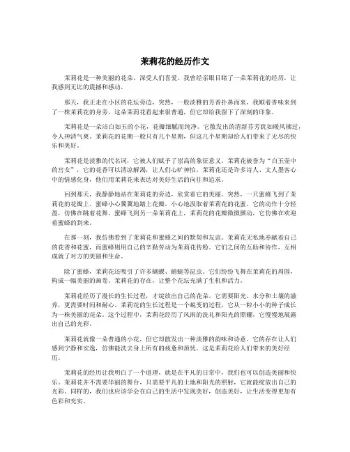 茉莉花的经历作文