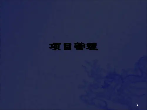《项目管理讲义》PPT课件