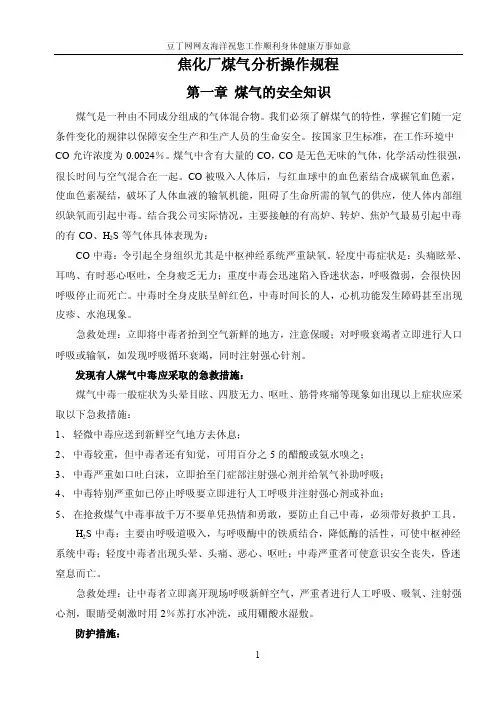焦炉煤气分析化验操作规程