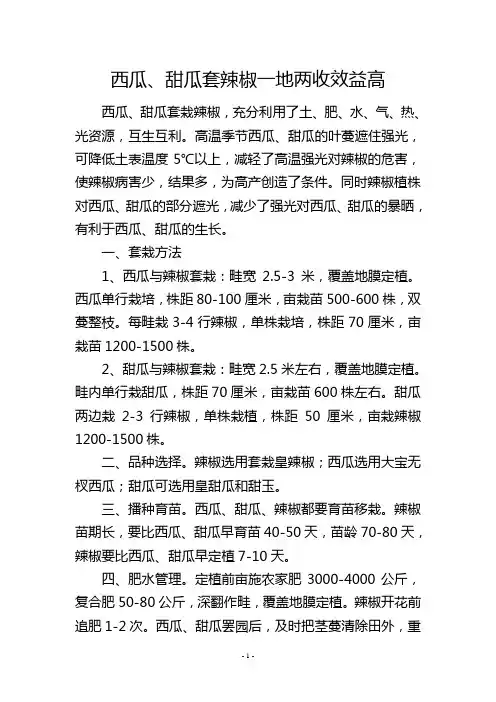 西瓜、甜瓜套辣椒一地两收效益高