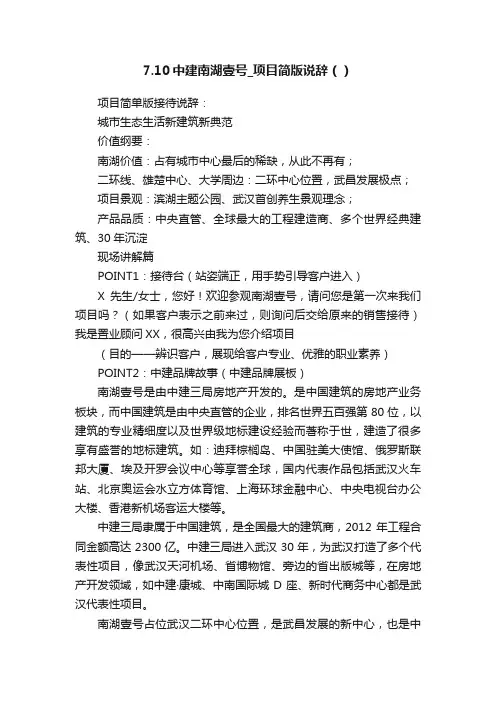 7.10中建南湖壹号_项目简版说辞（）