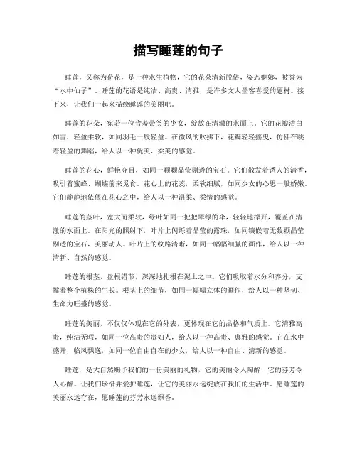 描写睡莲的句子