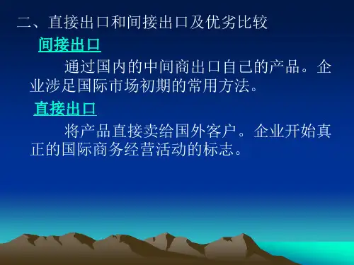 国际商务经营形式及其选择