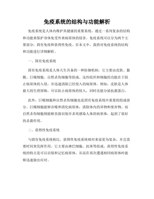 免疫系统的结构与功能解析