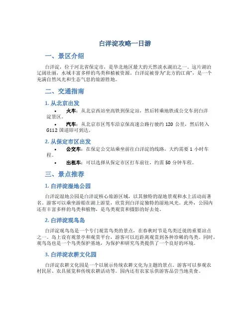 白洋淀攻略一日游