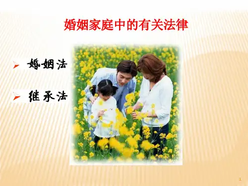 婚姻法与继承法(课堂PPT)